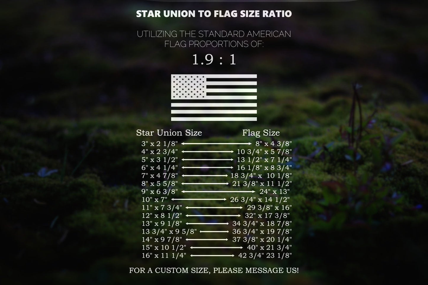 American Flag Coast Guard Star Union Vinyl Decal or Stencil | 310
