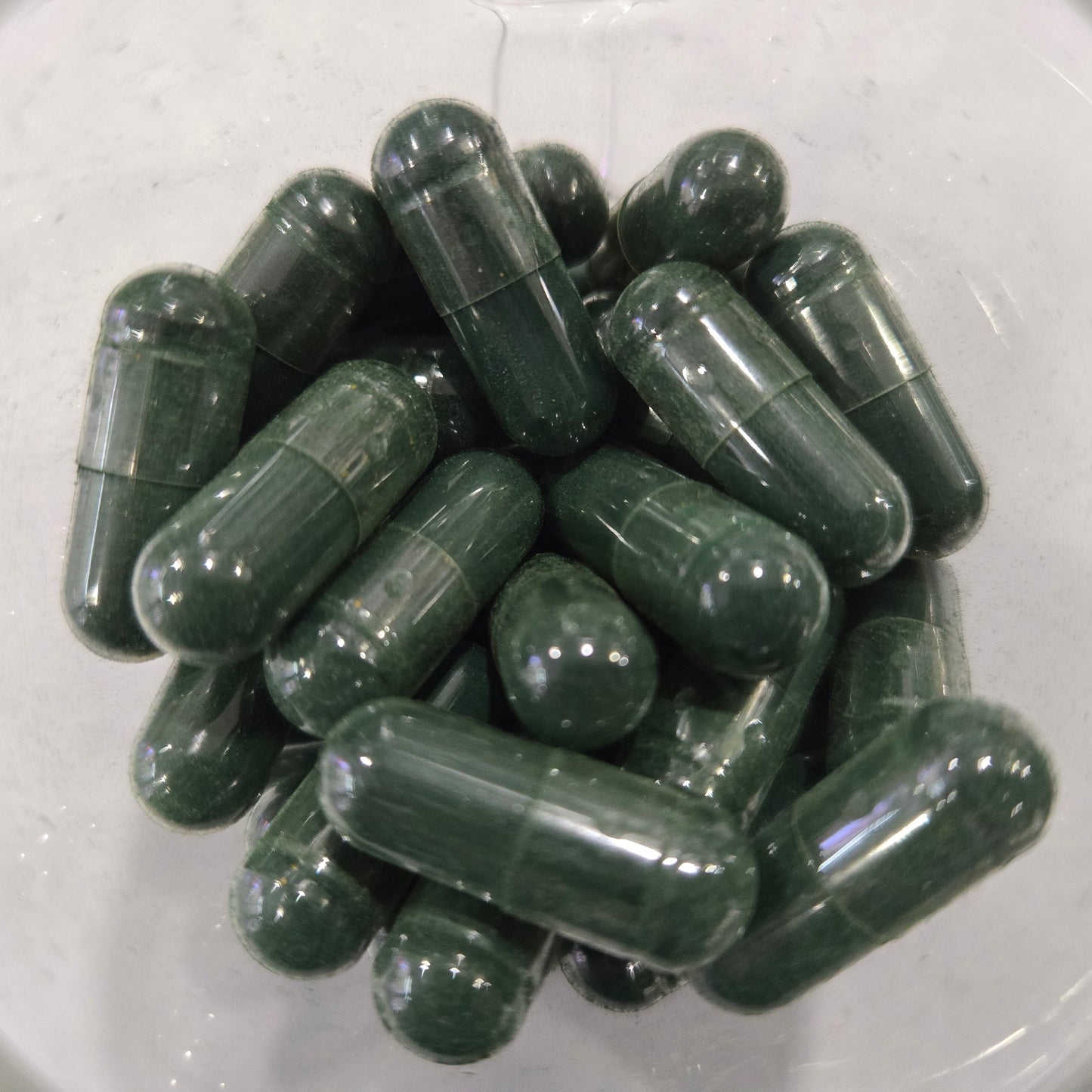 Moringa | Superfood Nutrition & Energy Boost