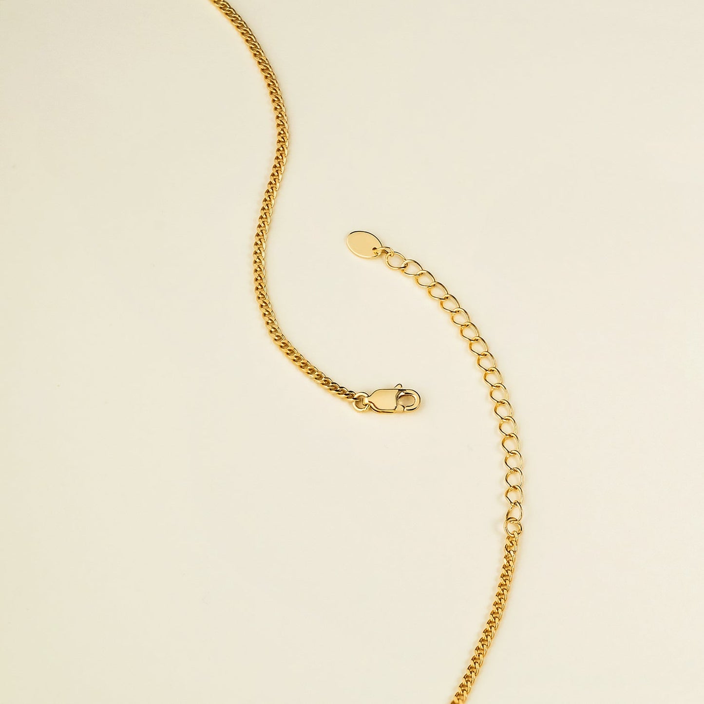 The Iced Border Dog Tag