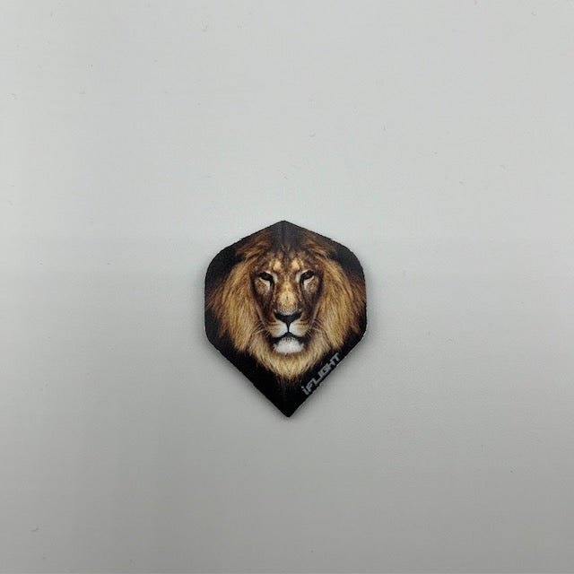 Graphic Design Flights