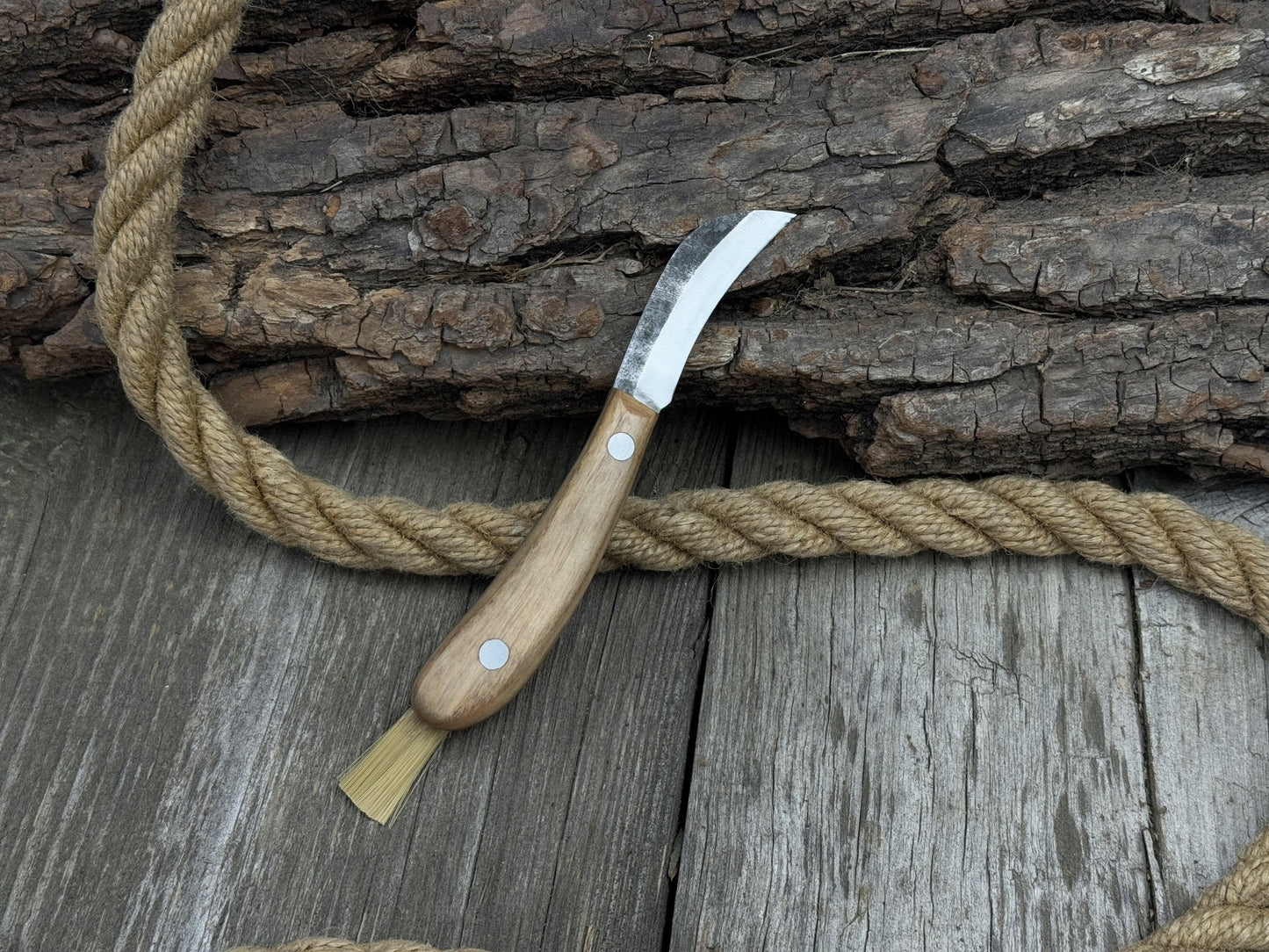 Mushroom Knife for Forest Walks, 6.5 cm (2.56 inches)