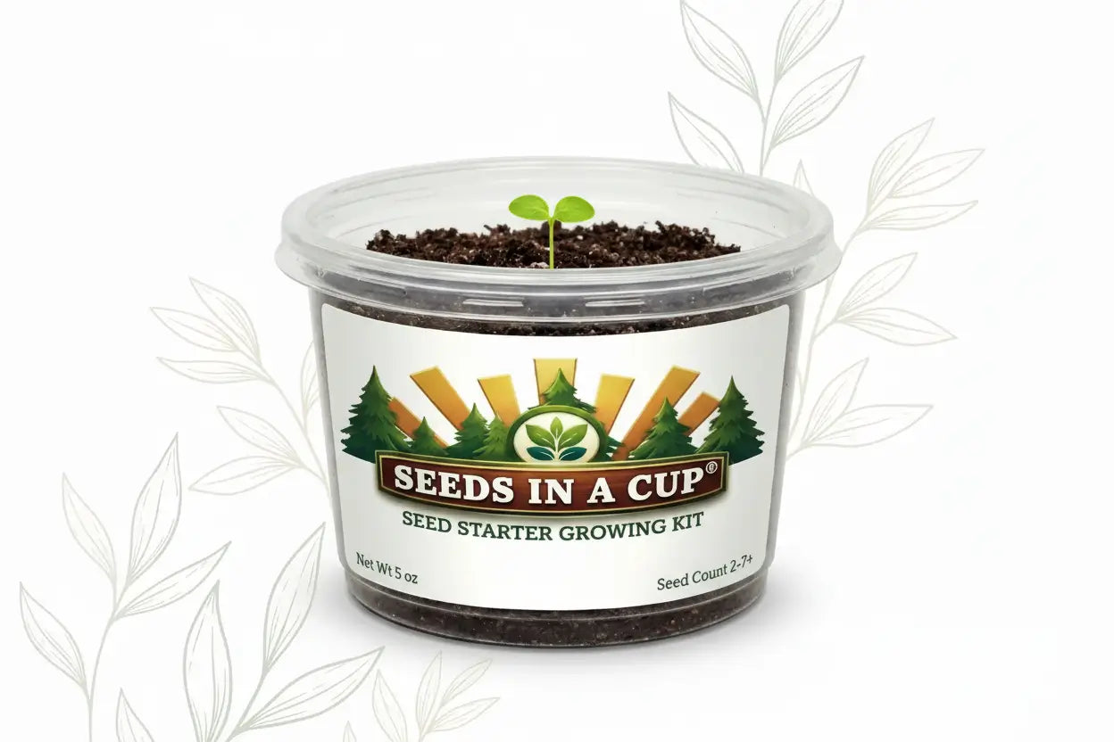 Anise Grow Kit | Grow Fresh Anise from Seed | Seeds In A Cup®