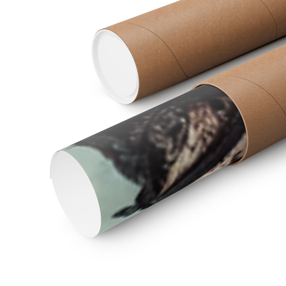 Punk Rock Vocalist Stage Energy Music Room Poster