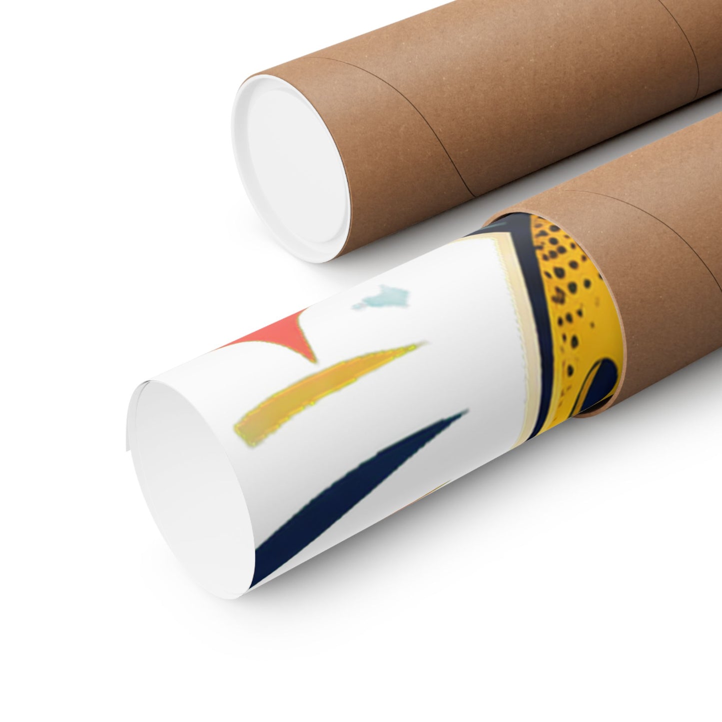 Retro Pickleball Paddles Recreational Sports Art Poster