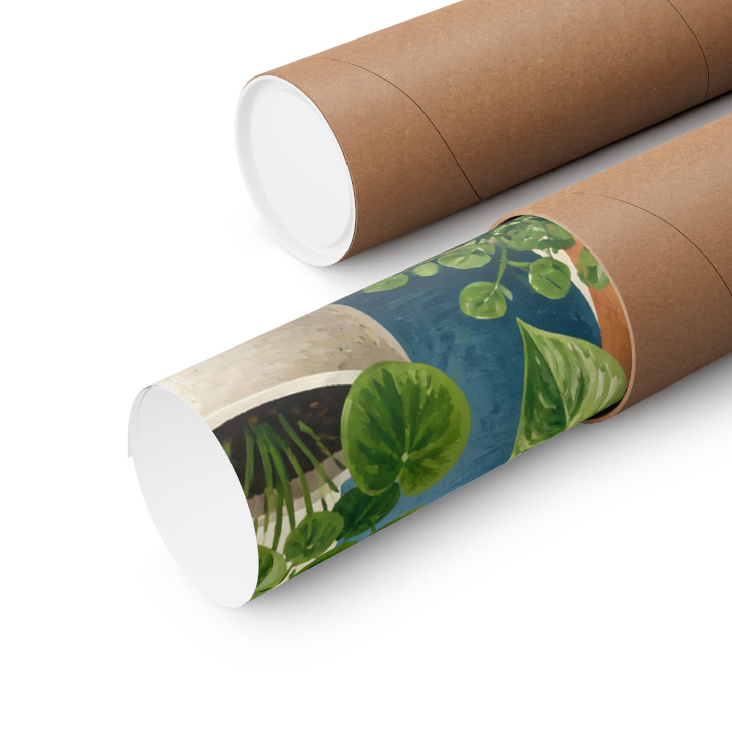 Calm Indoor Houseplant Collection Art Poster