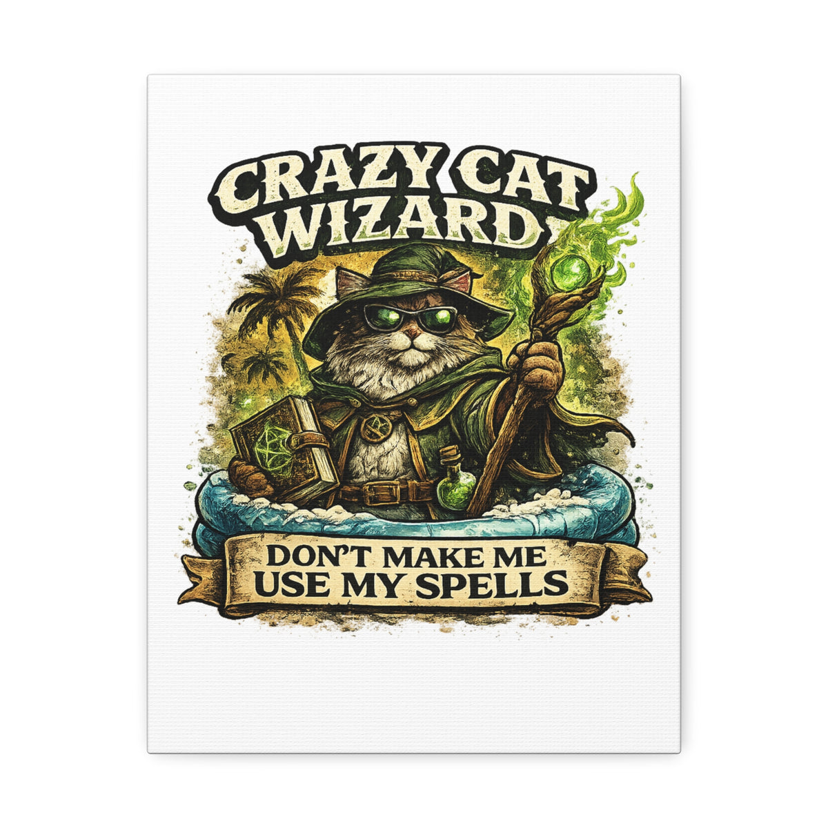 Crazy Cat Wizard Funny Fantasy Magic Canvas Art