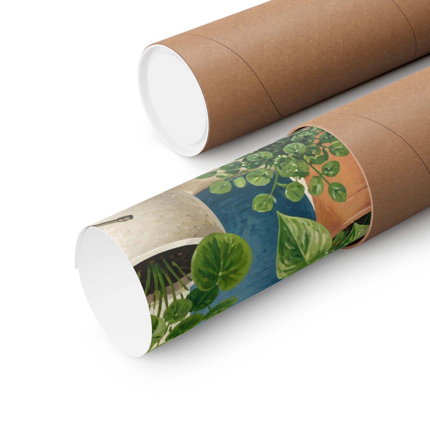 Calm Indoor Houseplant Collection Art Poster