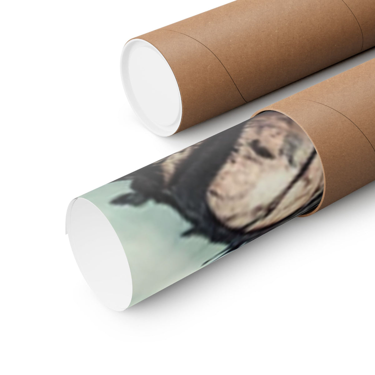 Punk Rock Vocalist Stage Energy Music Room Poster