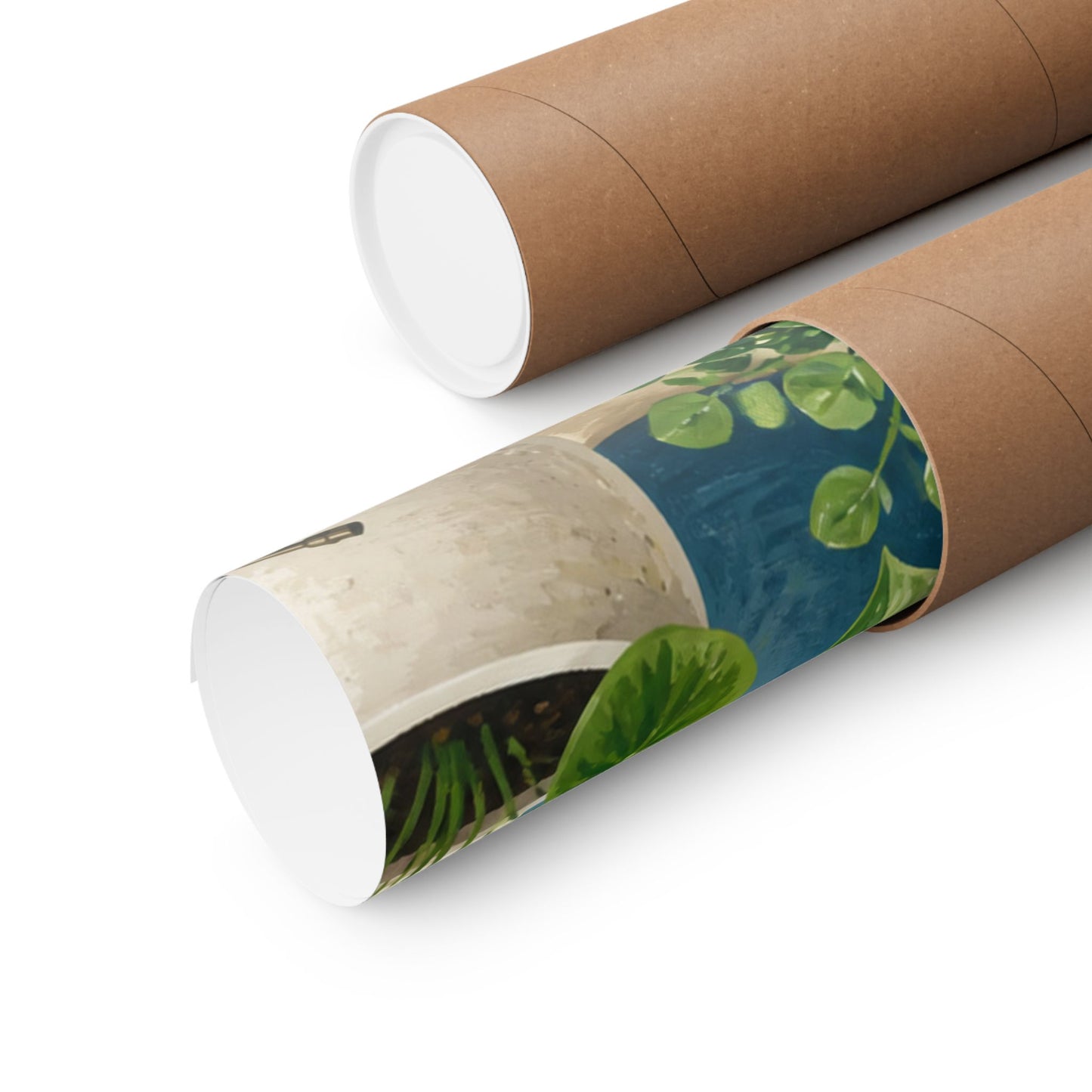 Calm Indoor Houseplant Collection Art Poster