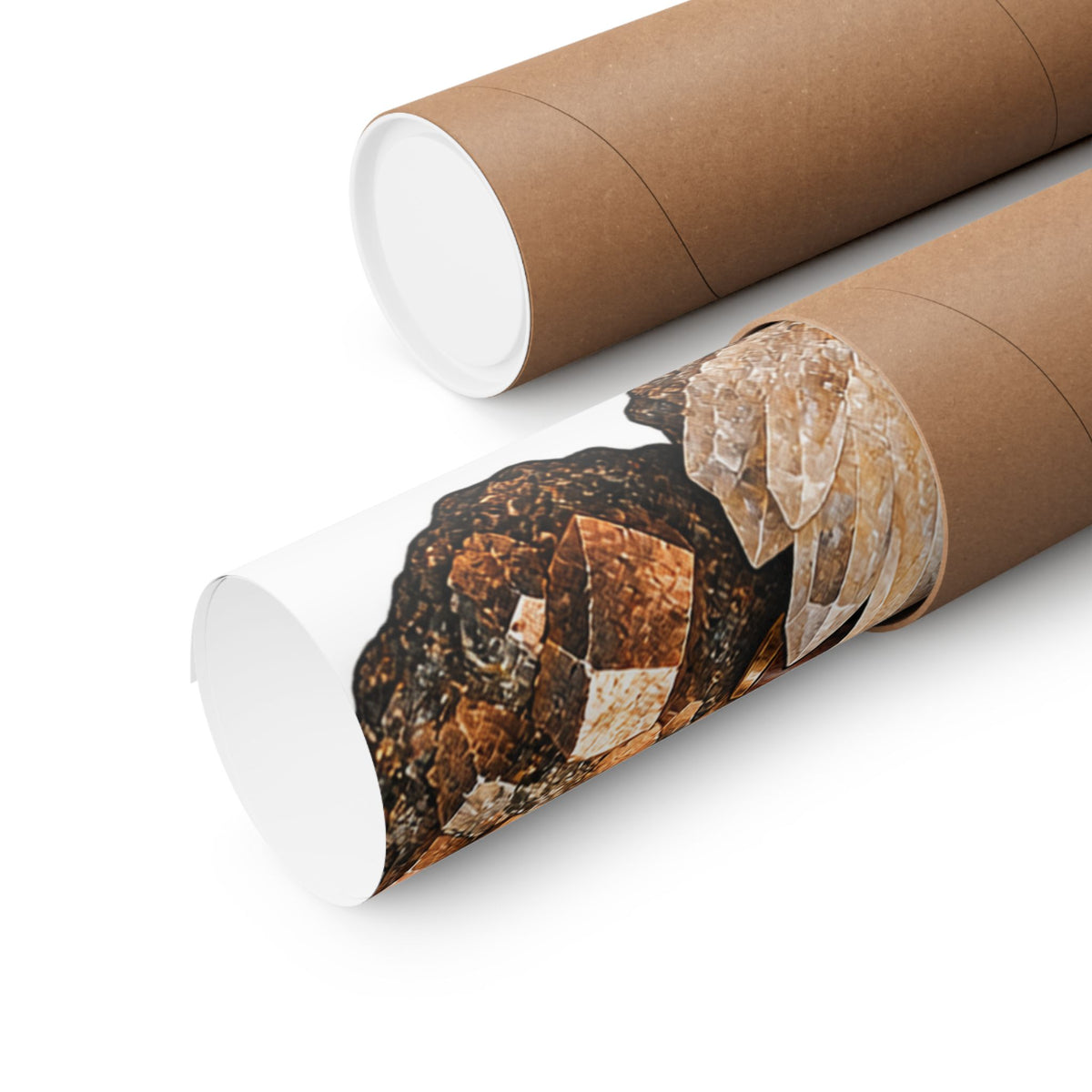 Vintage Geode and Rockhounding Field Kit Poster