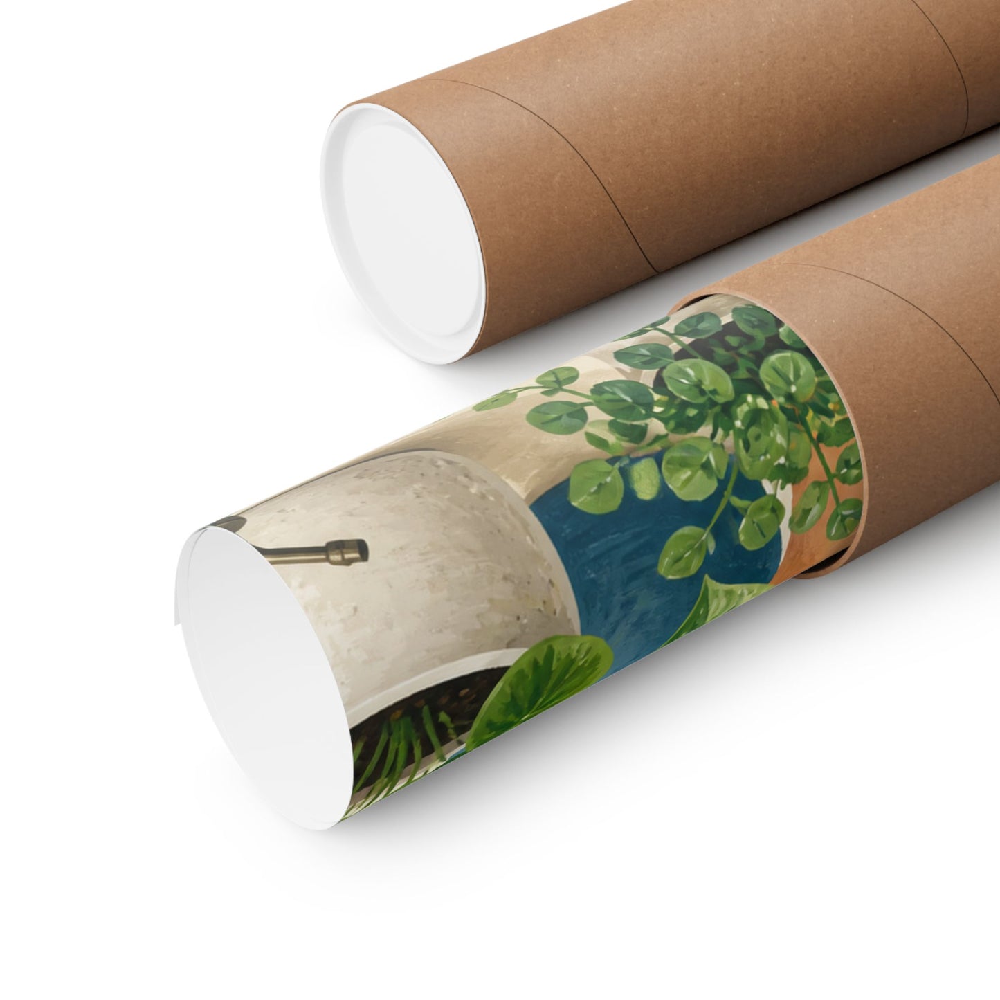 Calm Indoor Houseplant Collection Art Poster