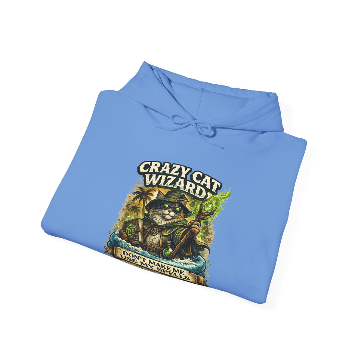 Crazy Cat Wizard Funny Fantasy Magic Hoodie