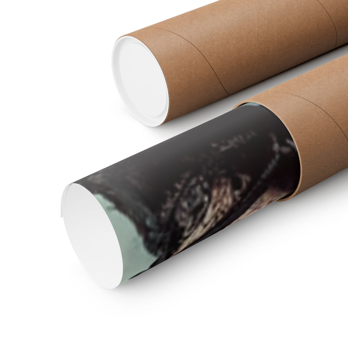 Punk Rock Vocalist Stage Energy Music Room Poster