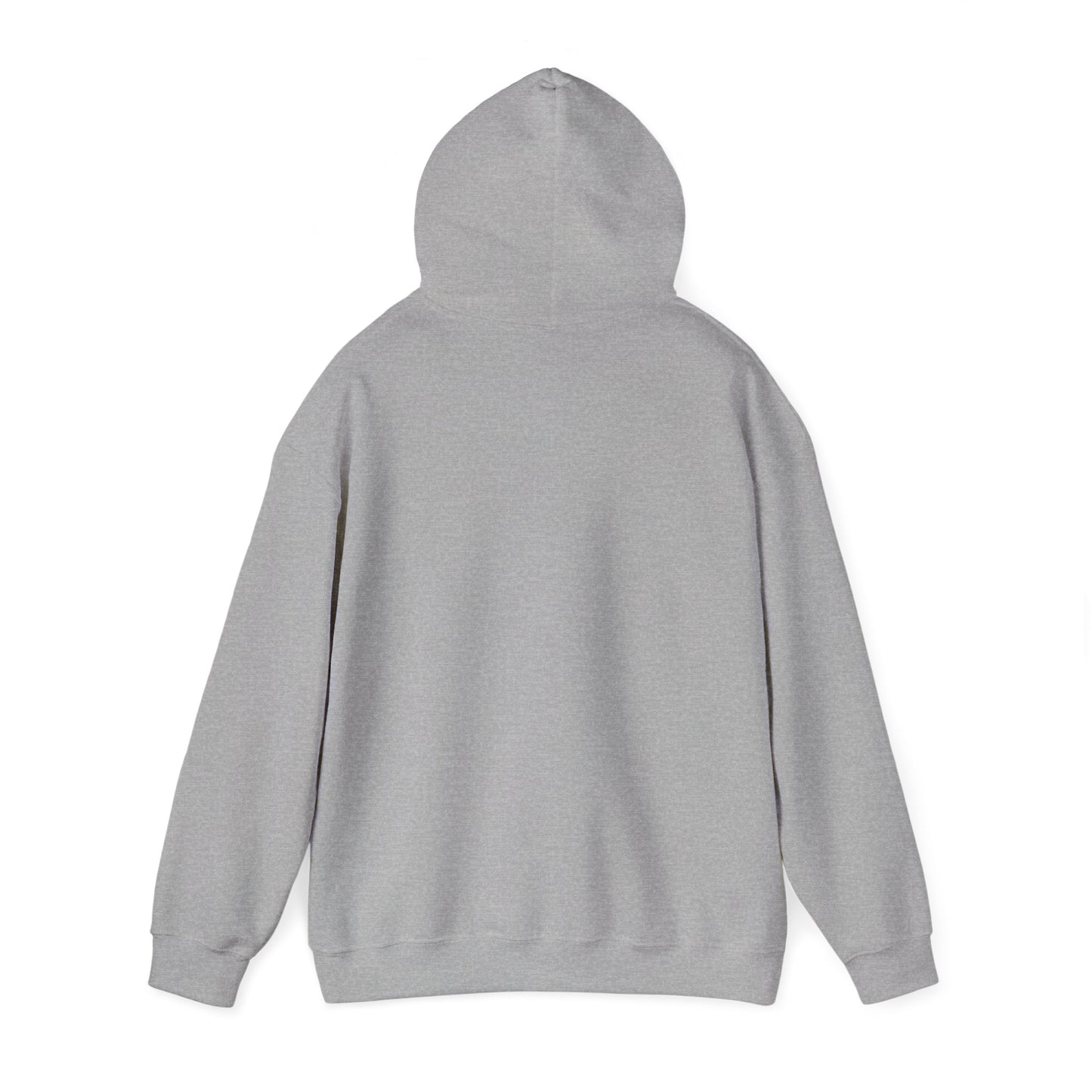 Retro Pickleball Court Club Sport Hoodie