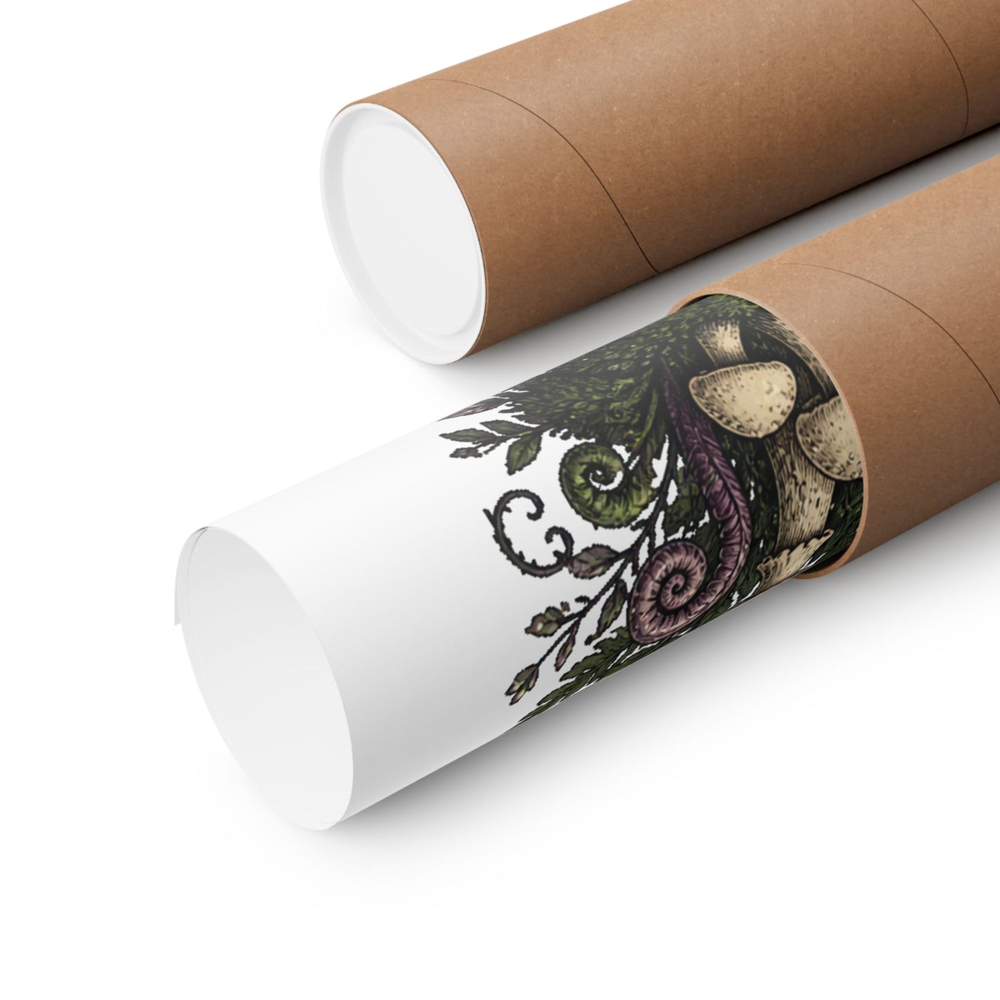 Midnight Mushroom Field Notes Botanical Mushroom Poster