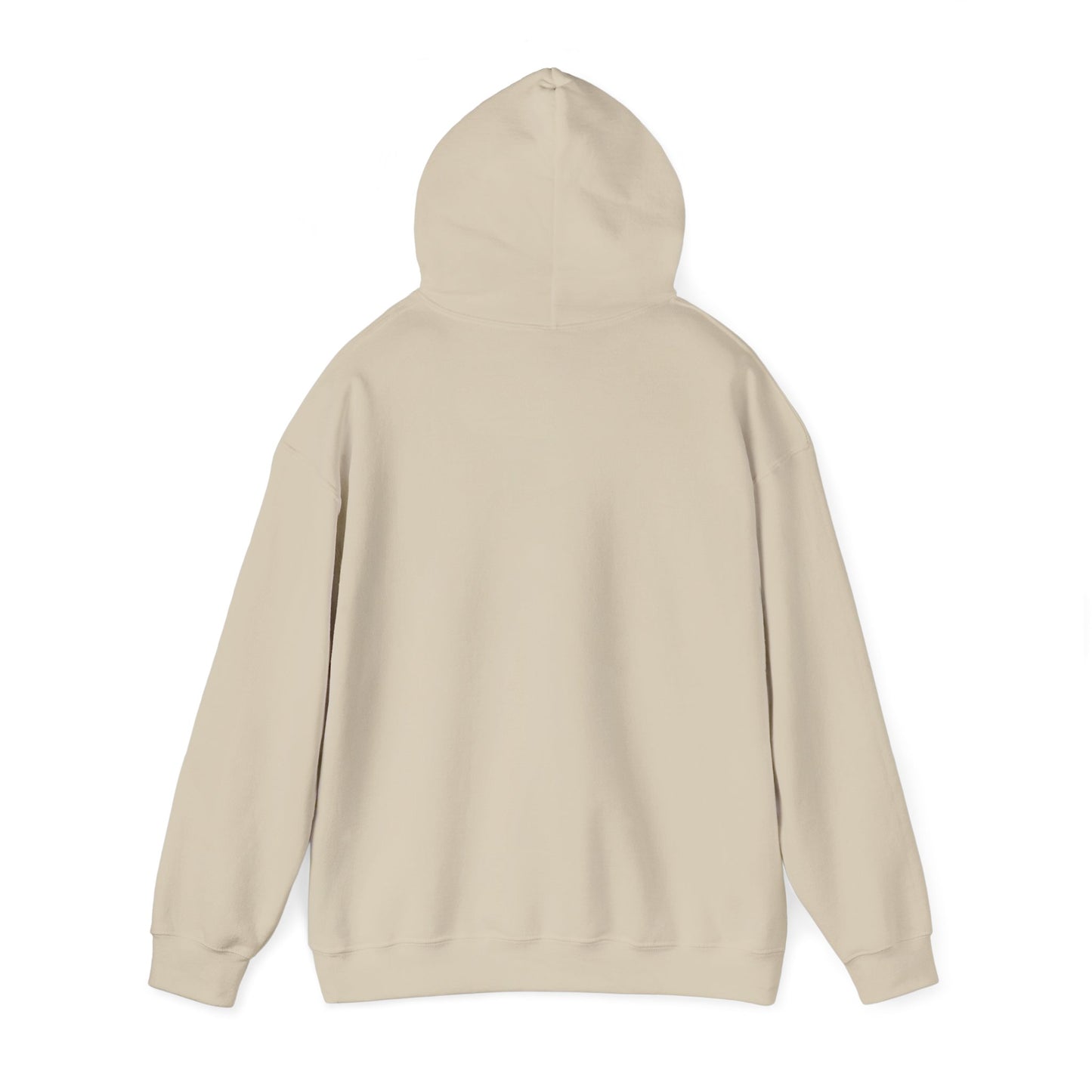 Retro Pickleball Court Club Sport Hoodie