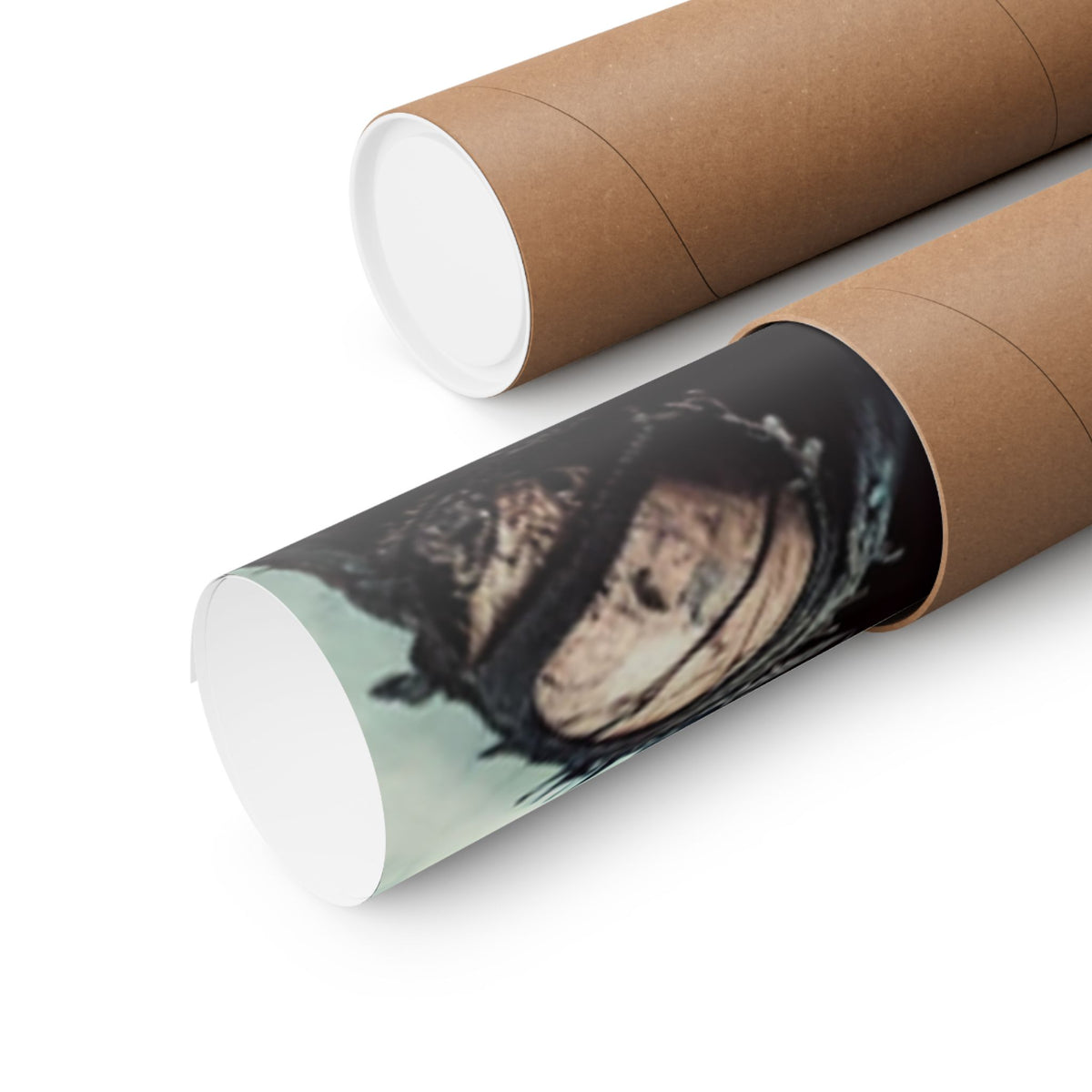 Punk Rock Vocalist Stage Energy Music Room Poster