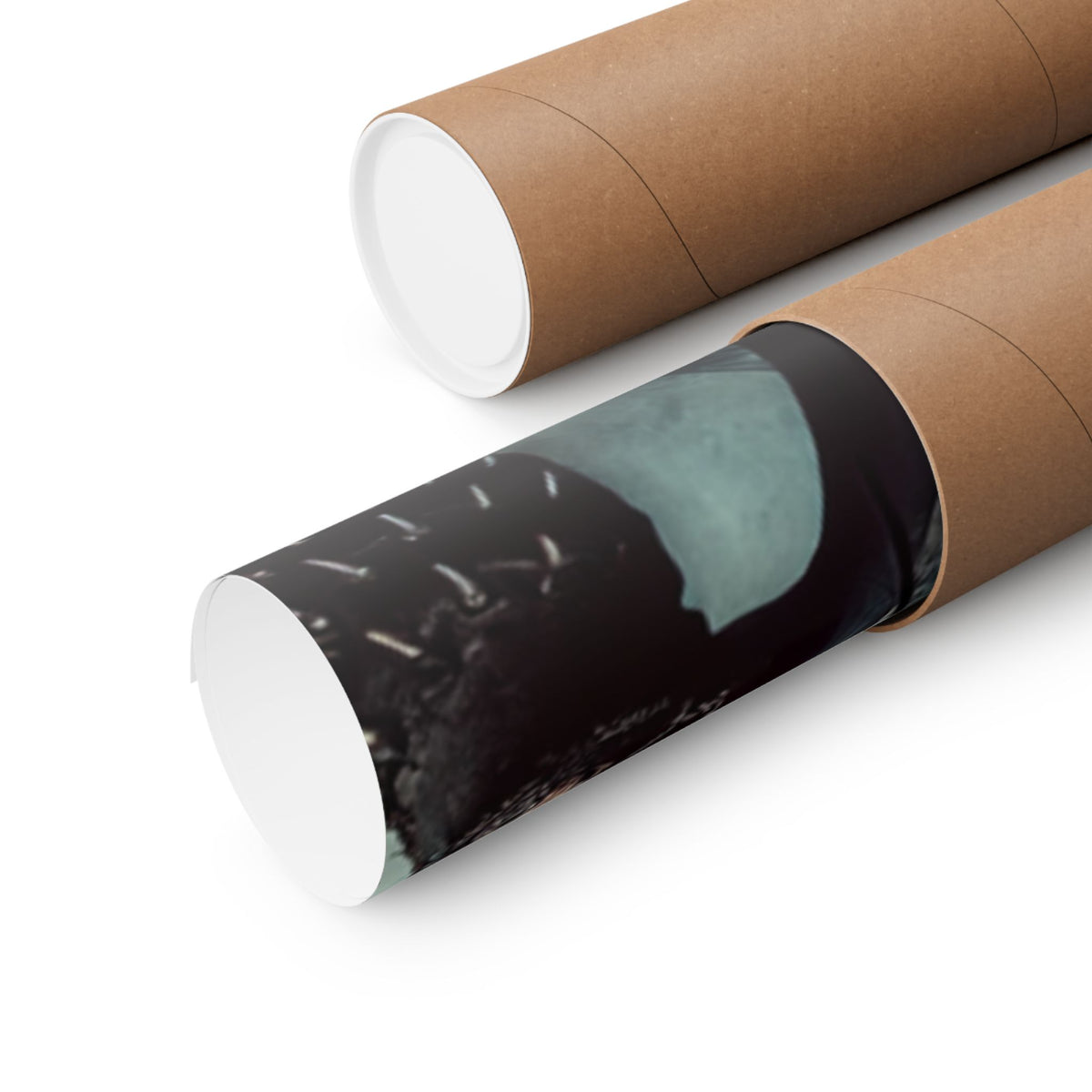 Punk Rock Vocalist Stage Energy Music Room Poster