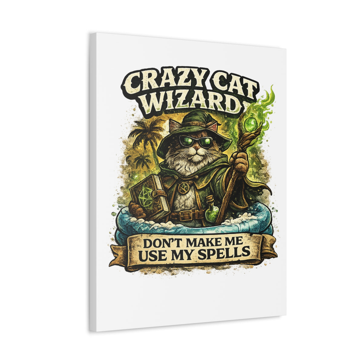 Crazy Cat Wizard Funny Fantasy Magic Canvas Art