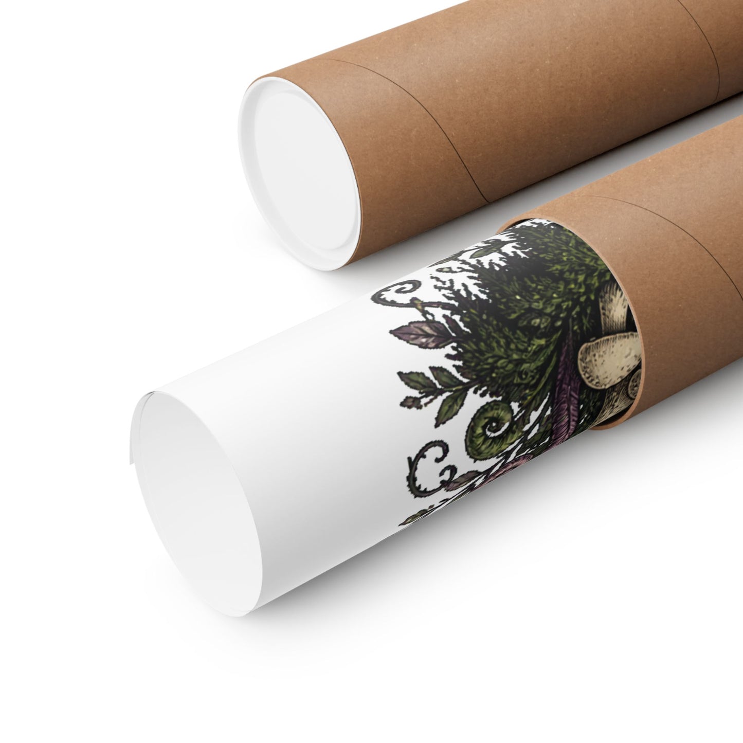 Midnight Mushroom Field Notes Botanical Mushroom Poster