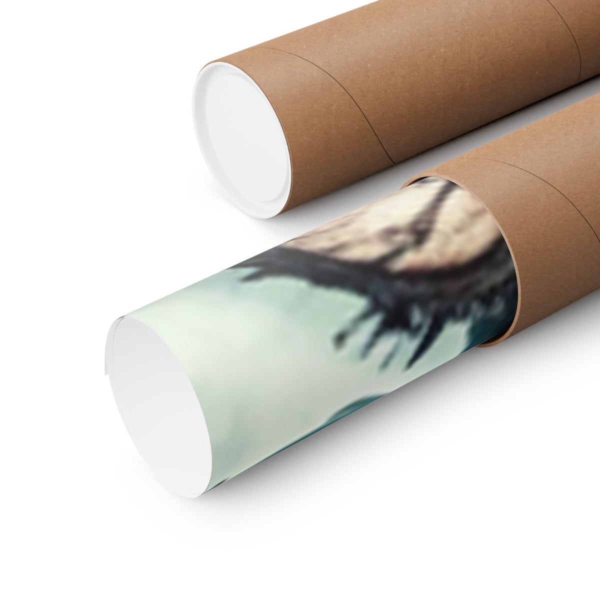 Punk Rock Vocalist Stage Energy Music Room Poster