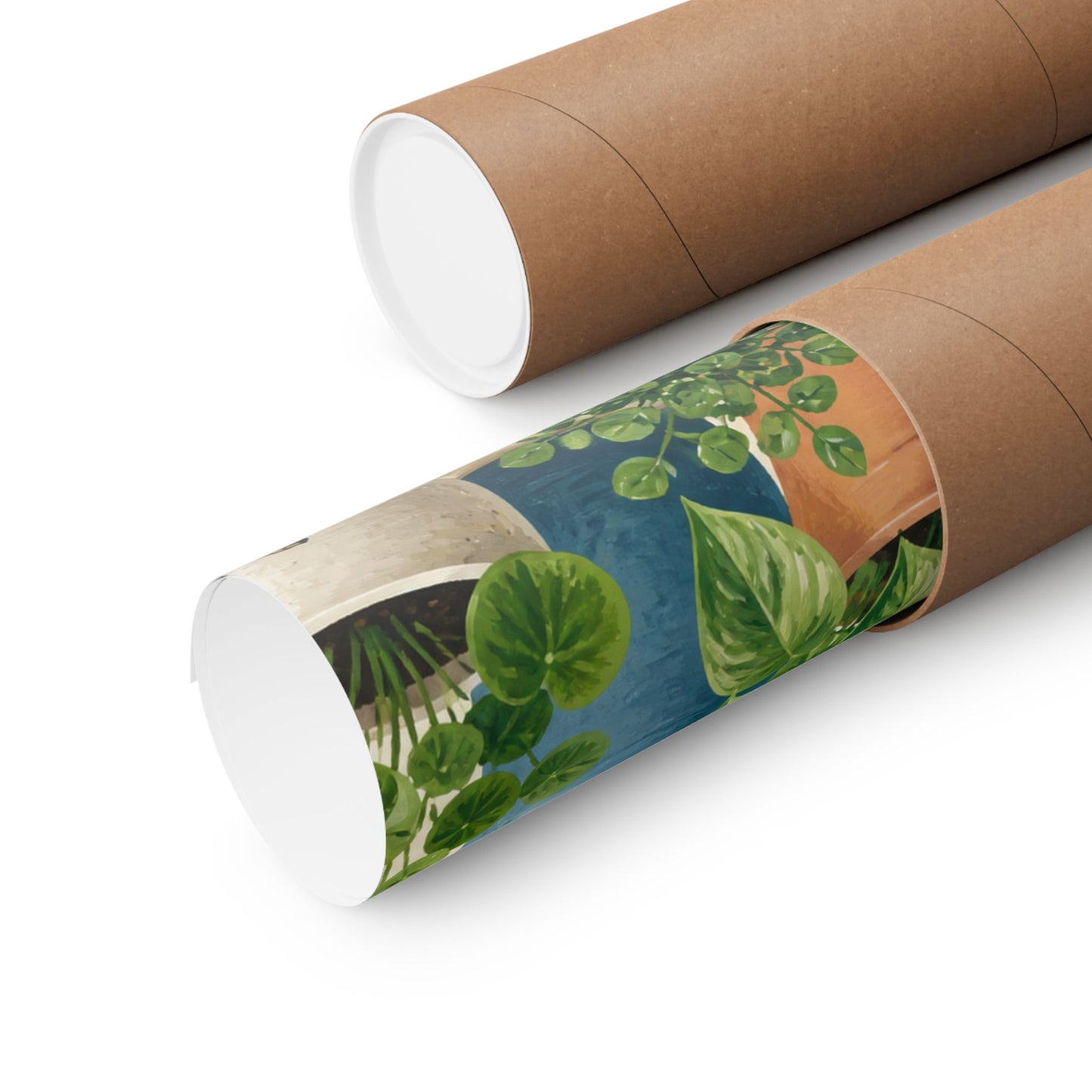 Calm Indoor Houseplant Collection Art Poster