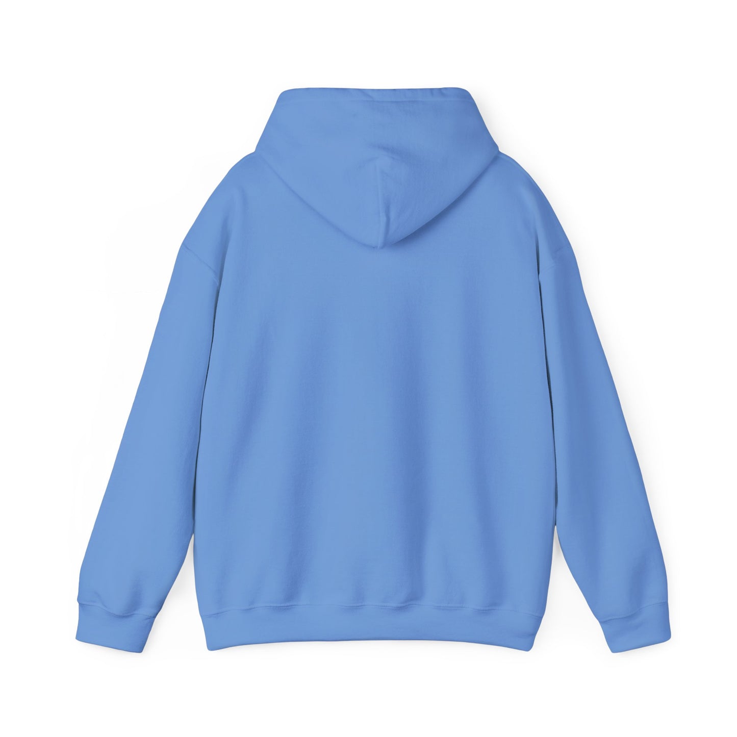 Retro Pickleball Court Club Sport Hoodie