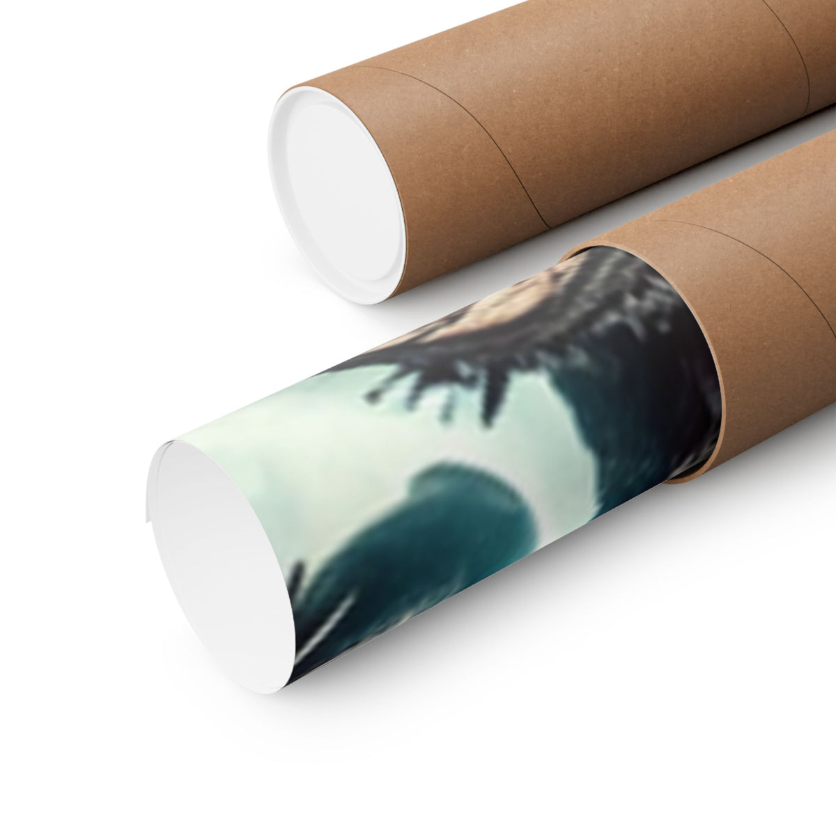 Punk Rock Vocalist Stage Energy Music Room Poster