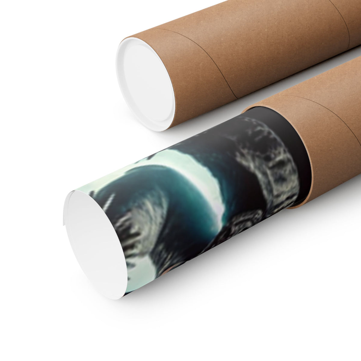 Punk Rock Vocalist Stage Energy Music Room Poster