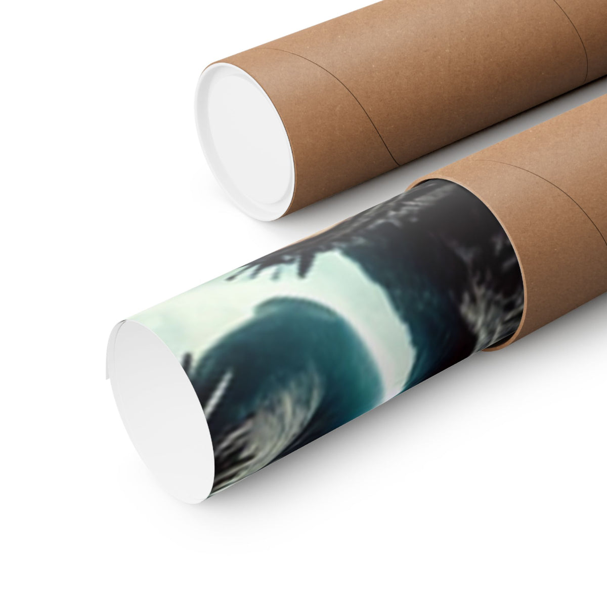 Punk Rock Vocalist Stage Energy Music Room Poster