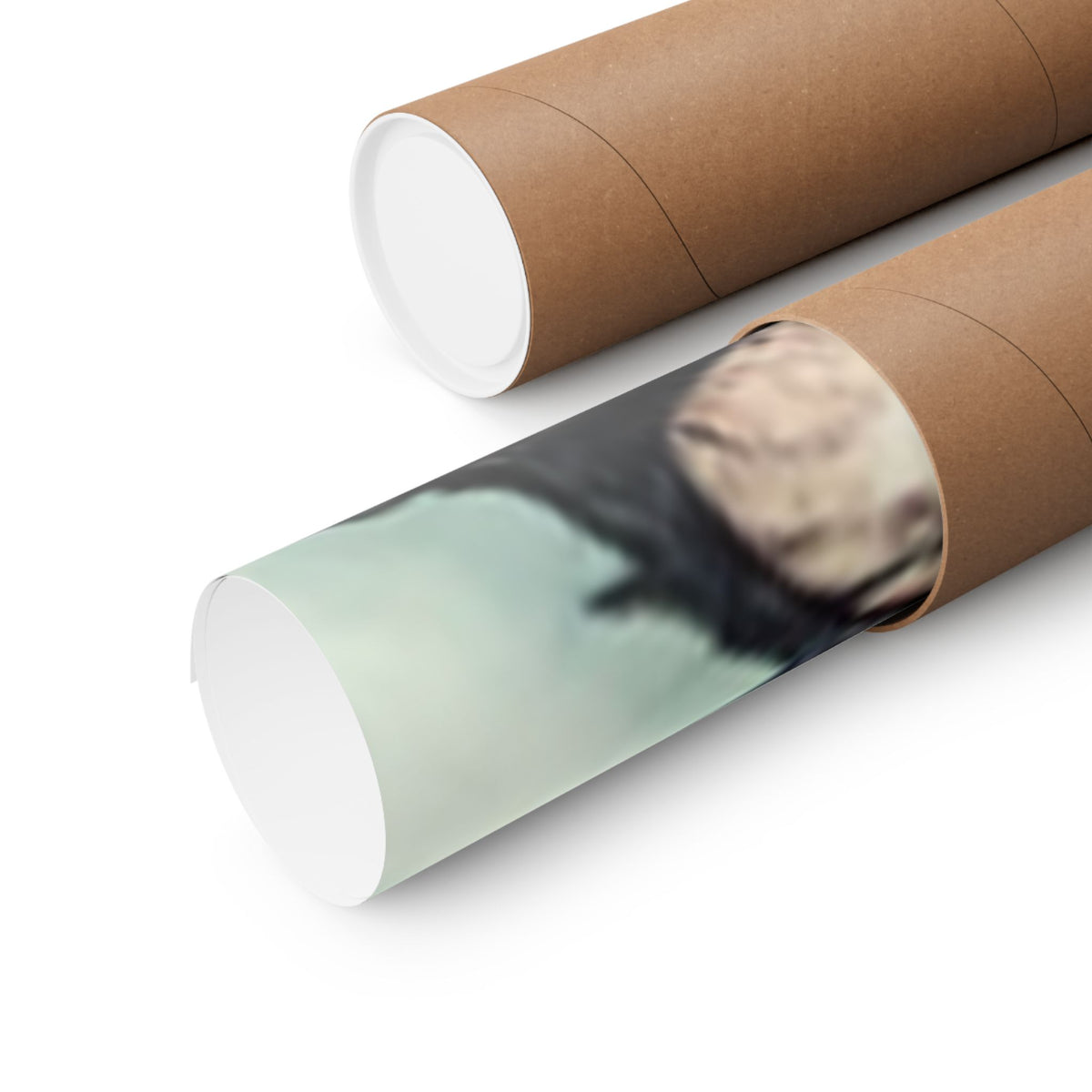 Punk Rock Vocalist Stage Energy Music Room Poster