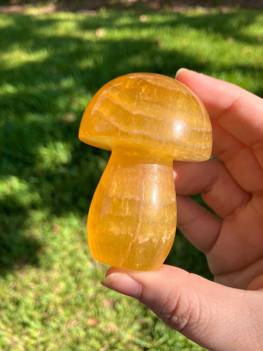 Fluorite Mushroom