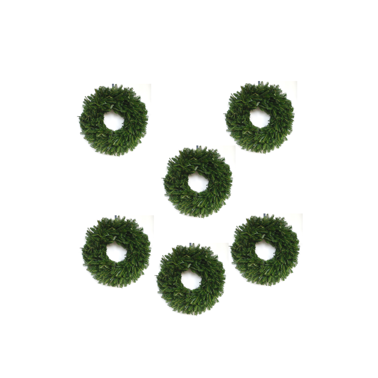 6 Pack Plain Balsam Fir Wreaths