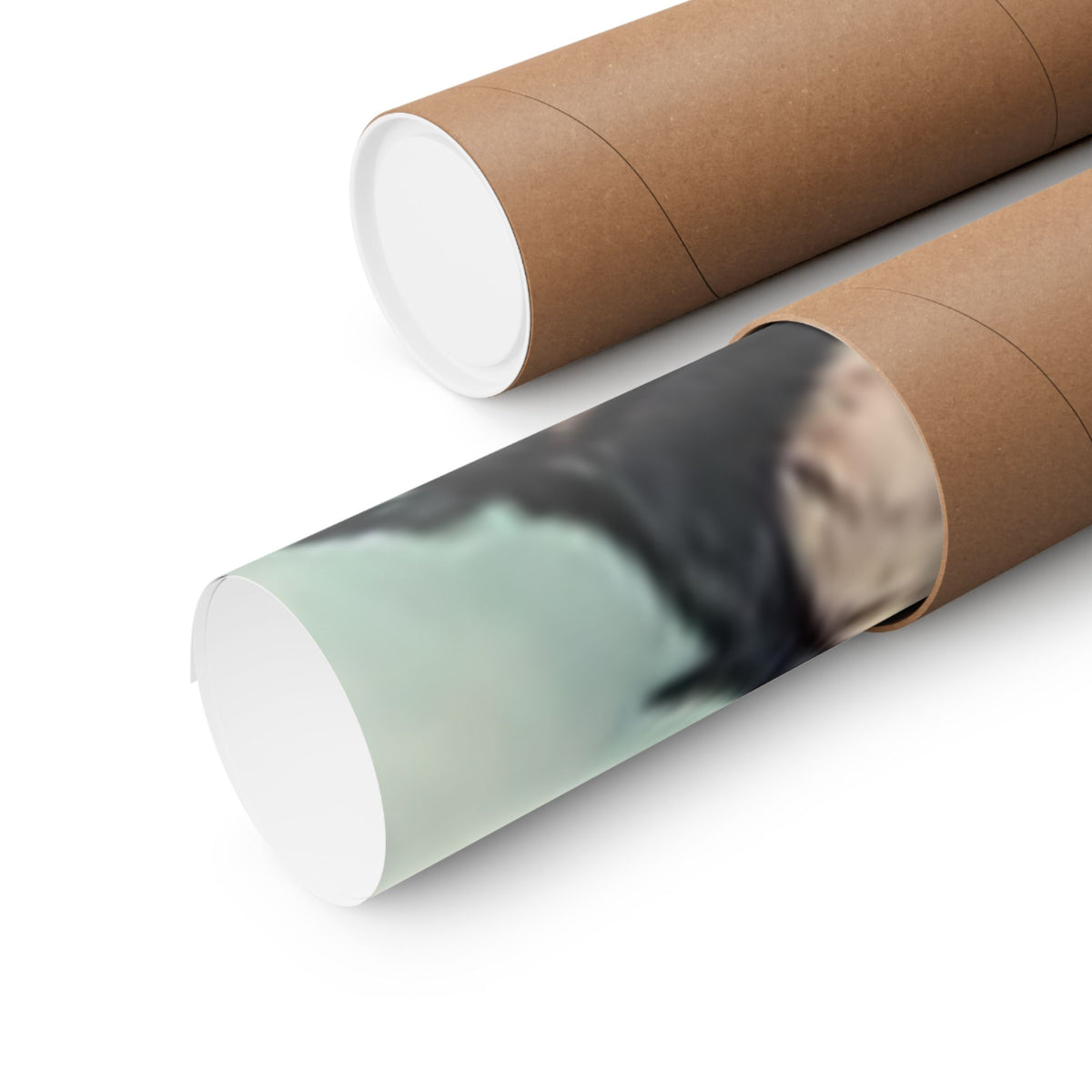 Punk Rock Vocalist Stage Energy Music Room Poster