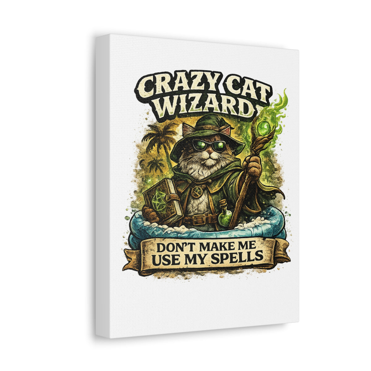 Crazy Cat Wizard Funny Fantasy Magic Canvas Art