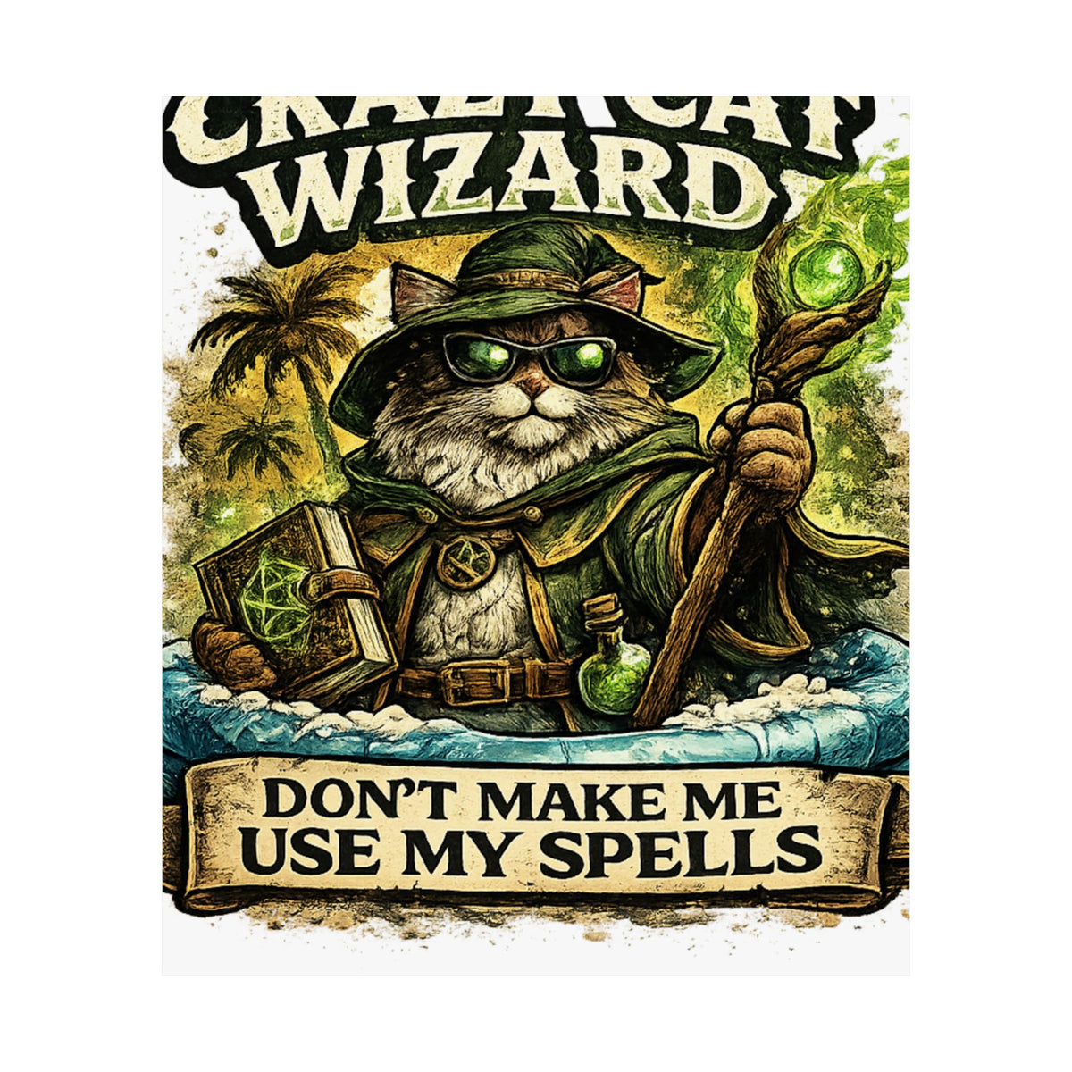 Crazy Cat Wizard Funny Fantasy Magic Art Poster