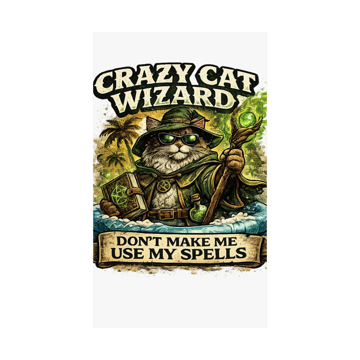 Crazy Cat Wizard Funny Fantasy Magic Art Poster