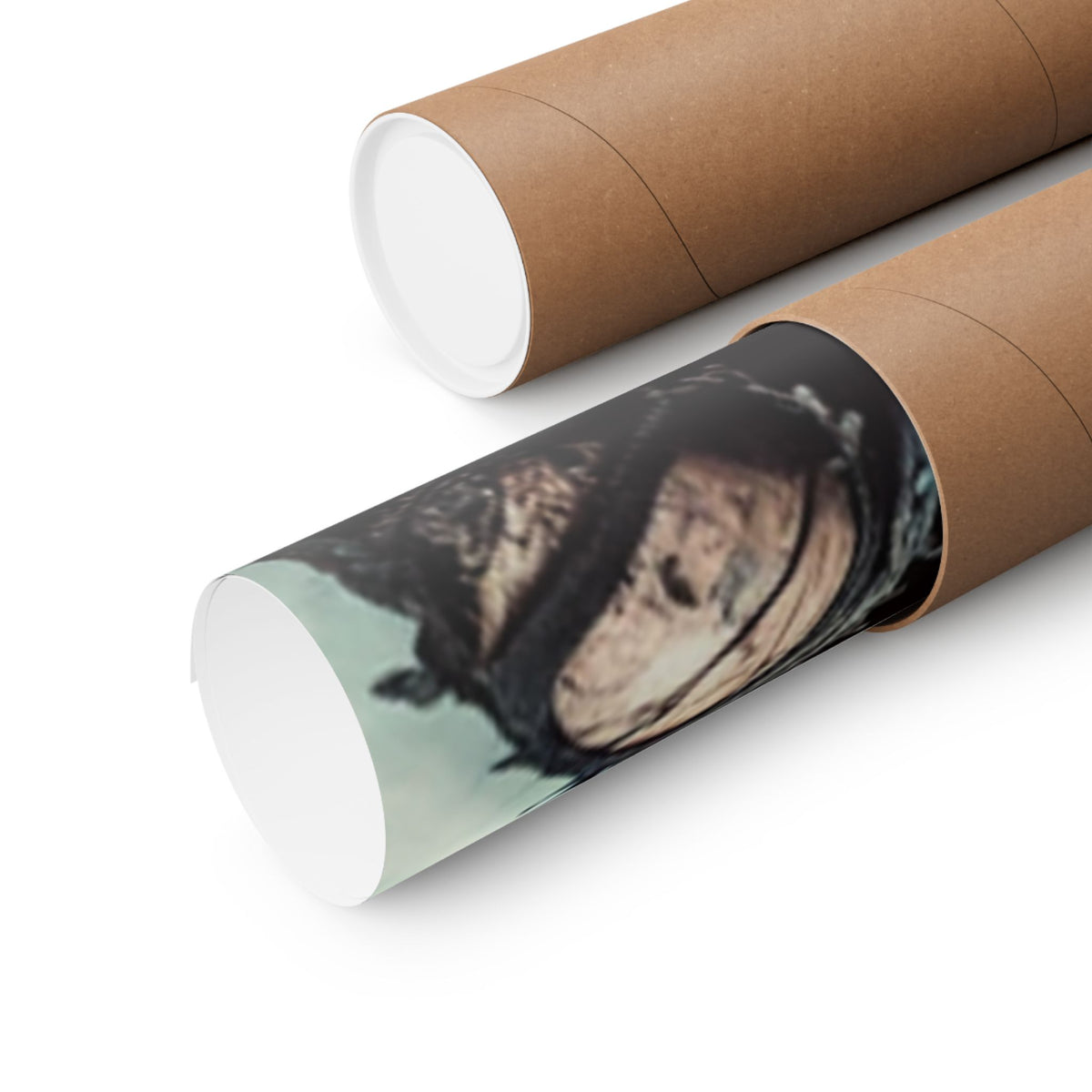 Punk Rock Vocalist Stage Energy Music Room Poster