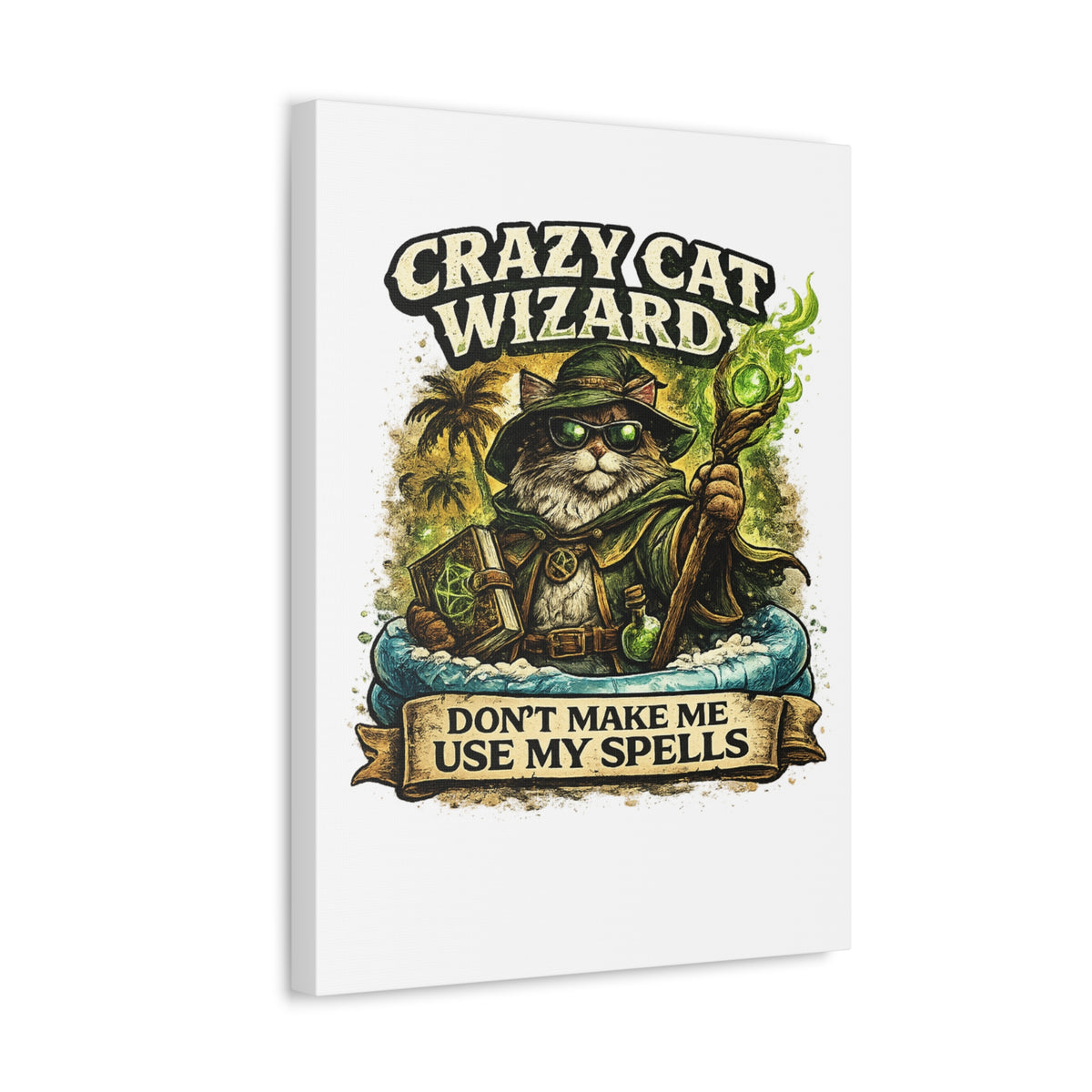 Crazy Cat Wizard Funny Fantasy Magic Canvas Art