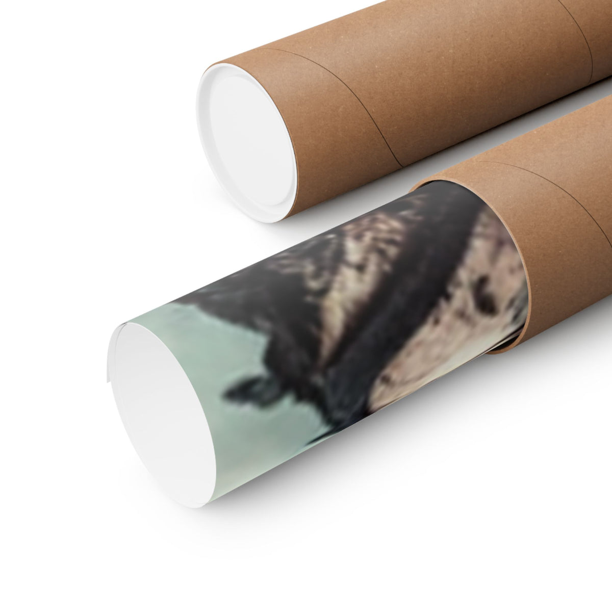Punk Rock Vocalist Stage Energy Music Room Poster
