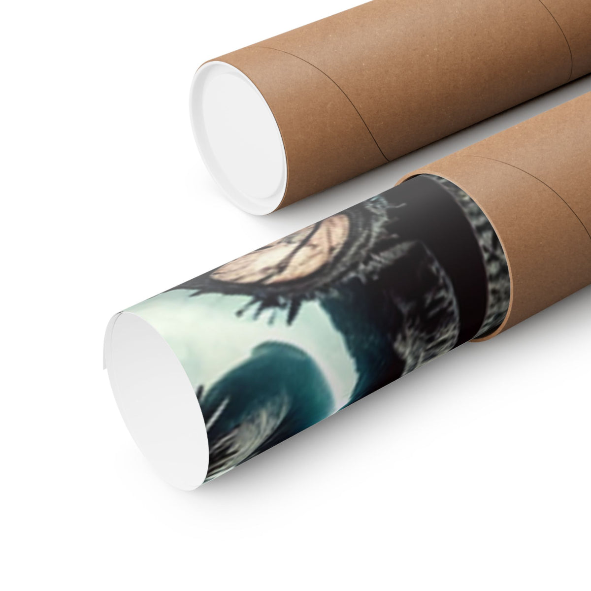 Punk Rock Vocalist Stage Energy Music Room Poster