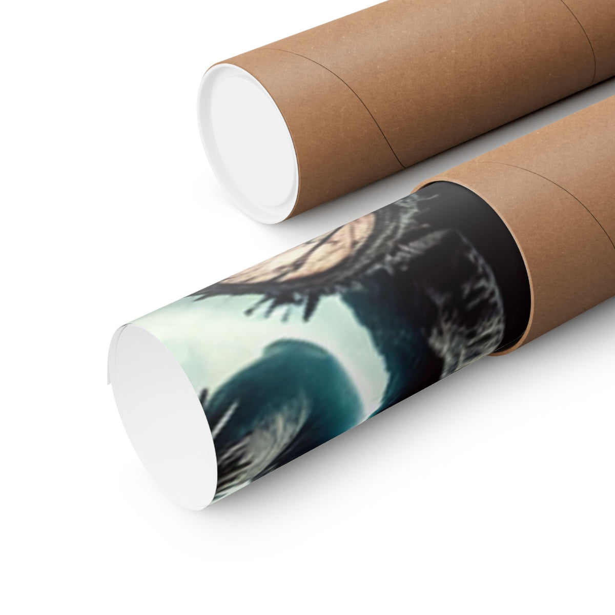 Punk Rock Vocalist Stage Energy Music Room Poster