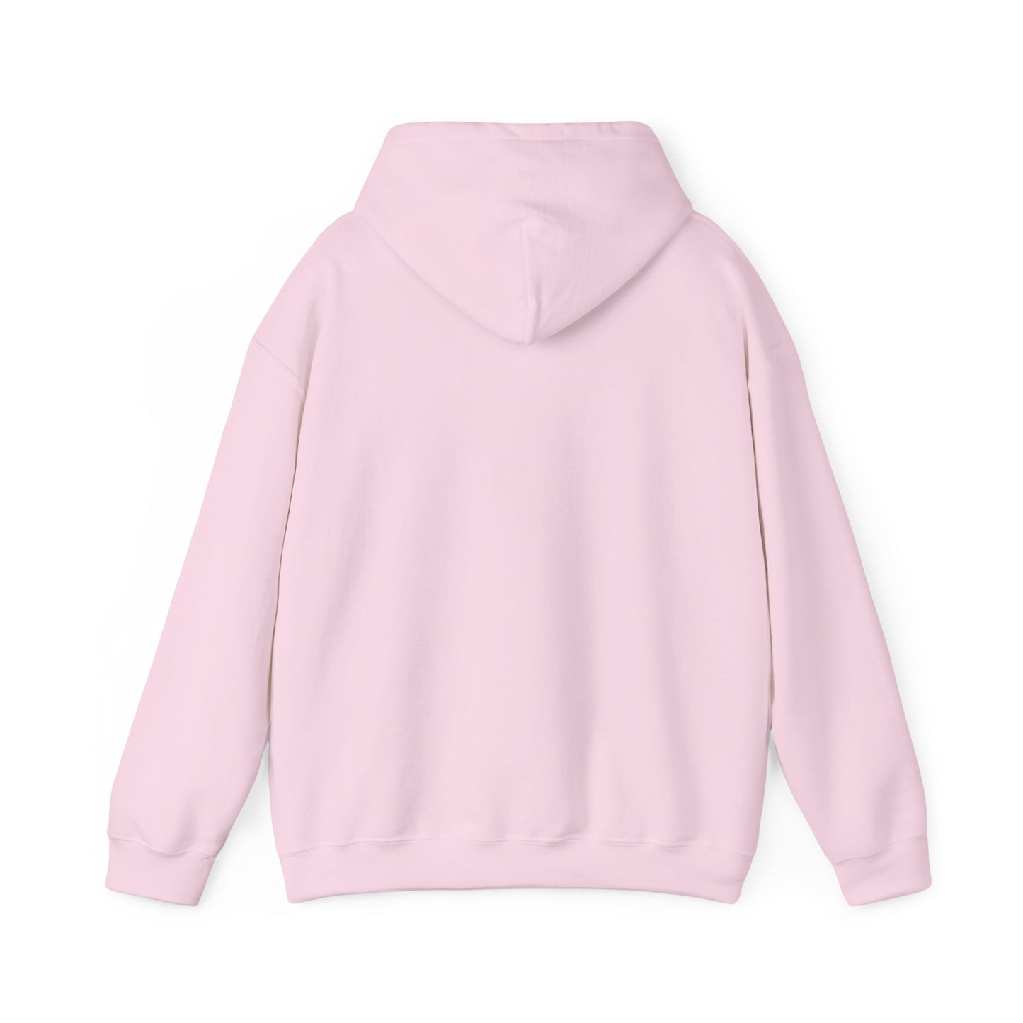 Retro Pickleball Court Club Sport Hoodie