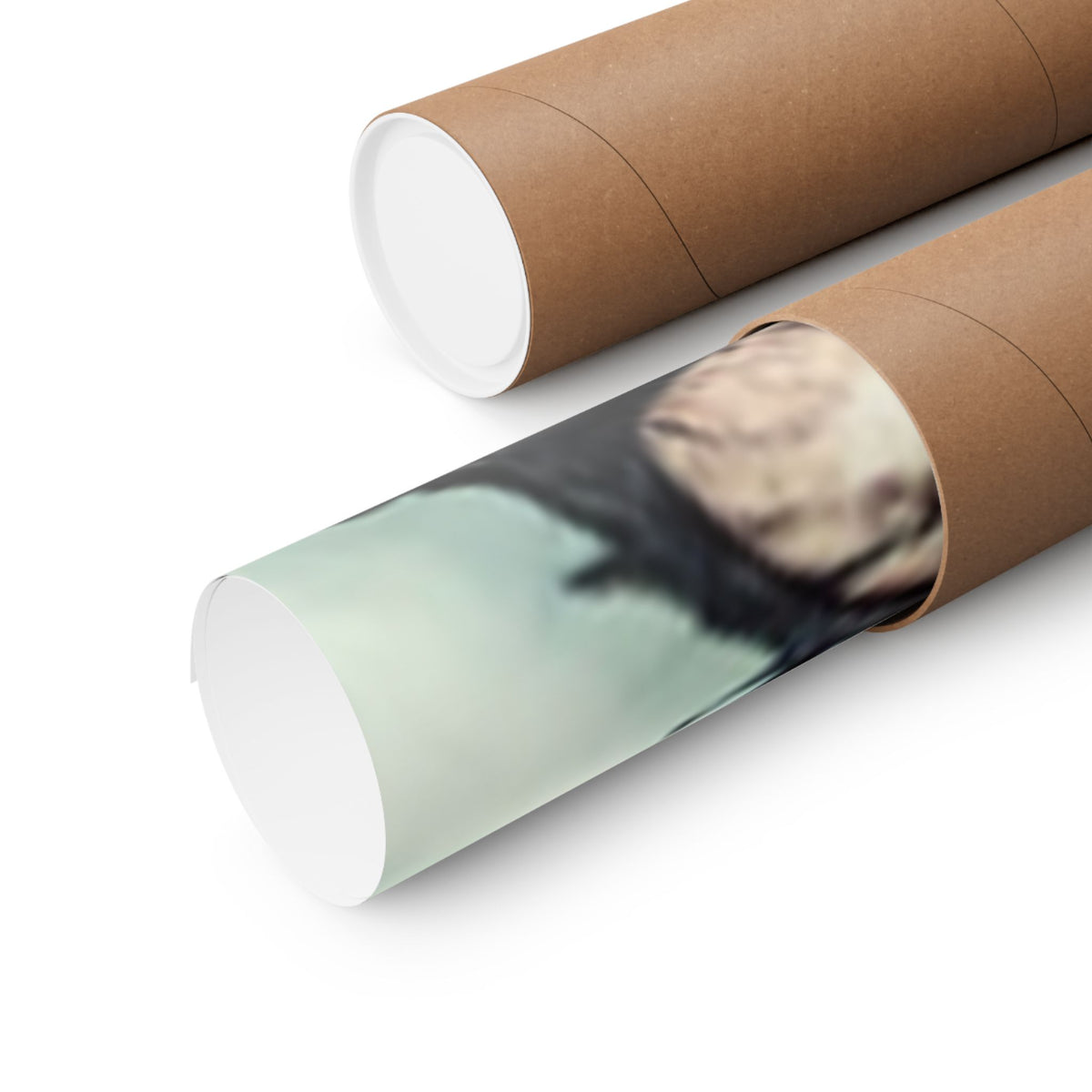 Punk Rock Vocalist Stage Energy Music Room Poster