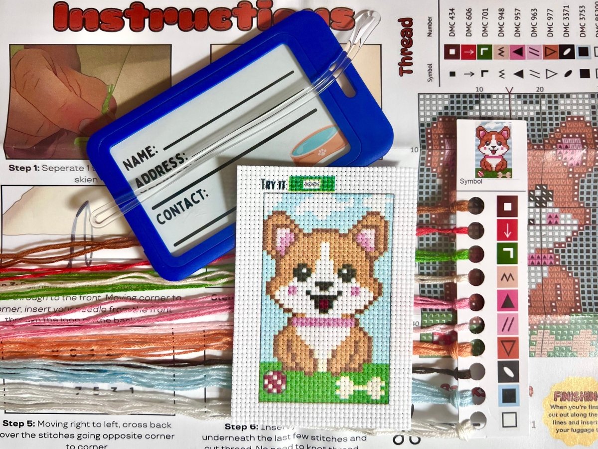 Obi the Corgi