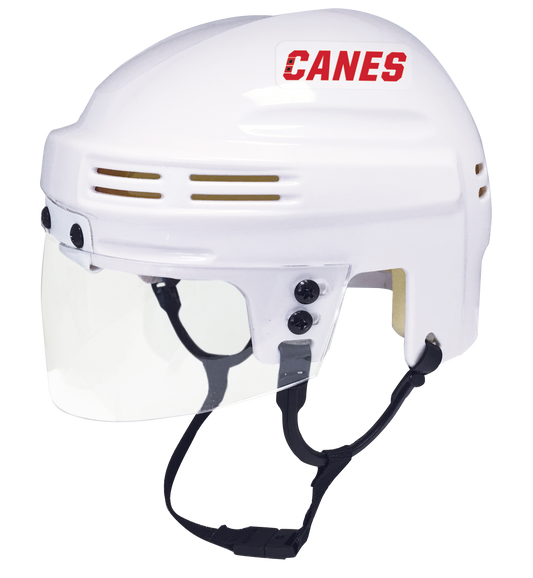 Carolina Hurricanes - NHL Collectible Mini Helmet - Picture Inside - FANZ Collectibles