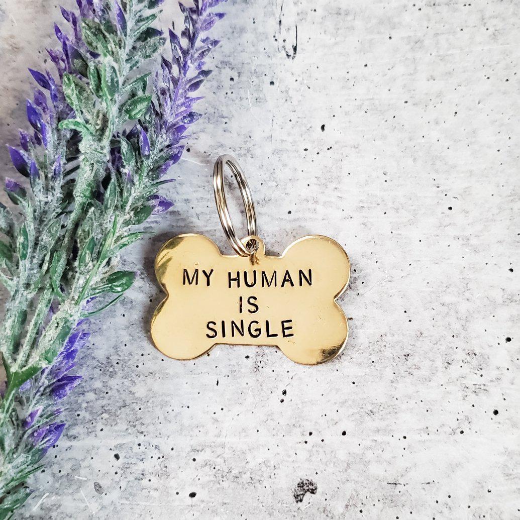 MY HUMAN IS SINGLE Bone-Shaped Pet Tag