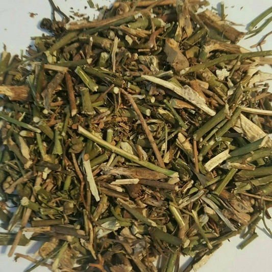 HPV Support Blend | Herbal Balance & Wellness Support