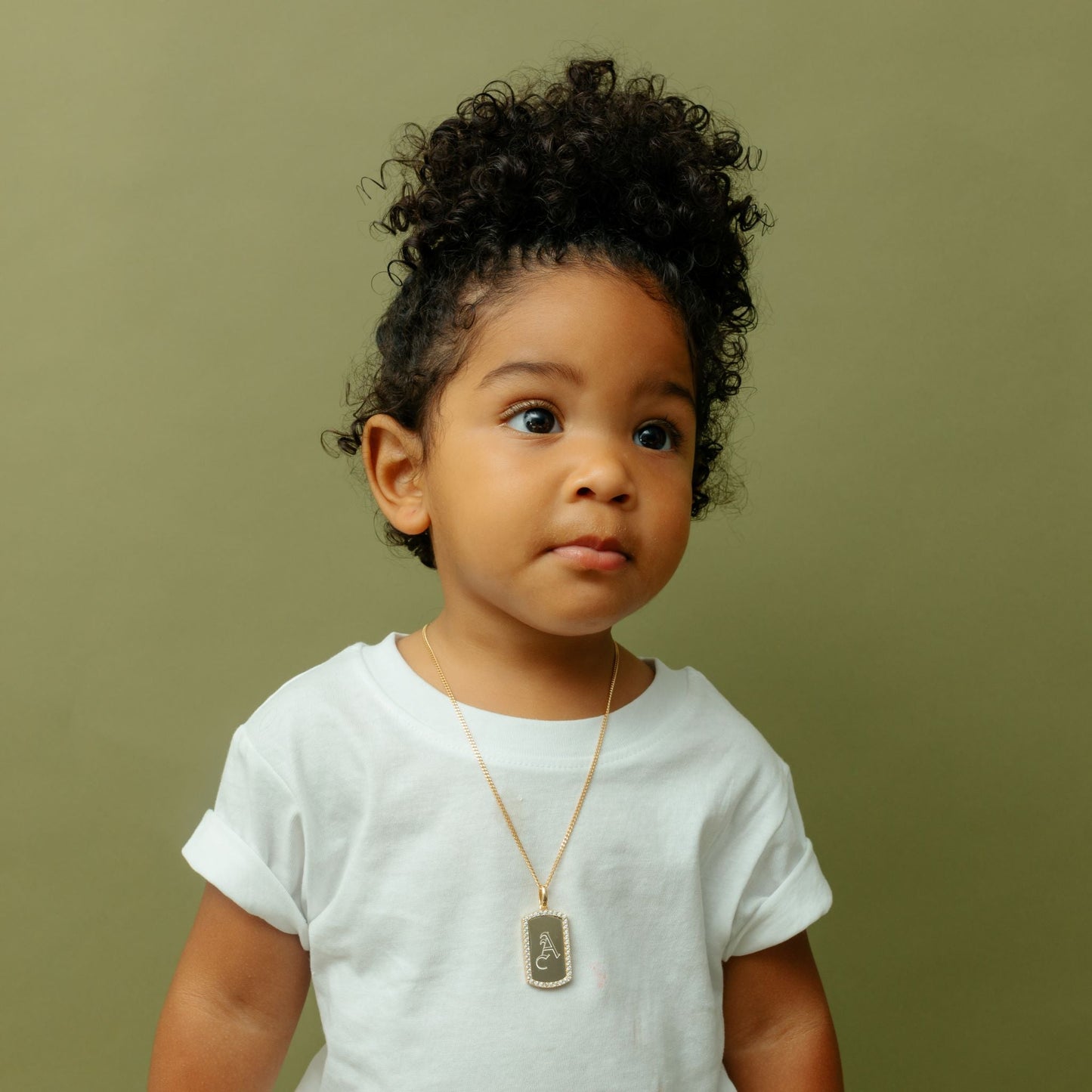 The Iced Border Dog Tag