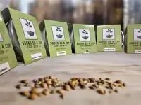 American Ash | Tree Grow Kit  |  Seeds In A Cup®